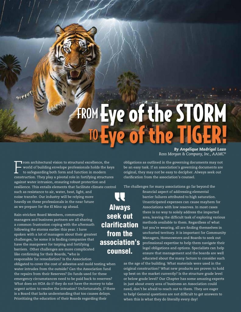Eye Of The Storm Article