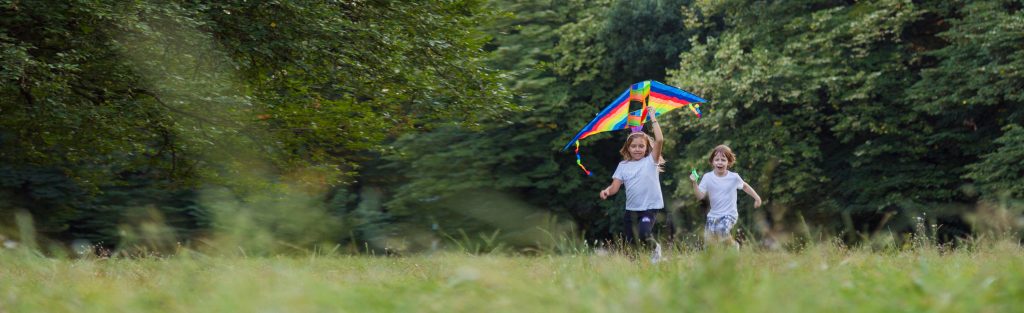 Flying Kite